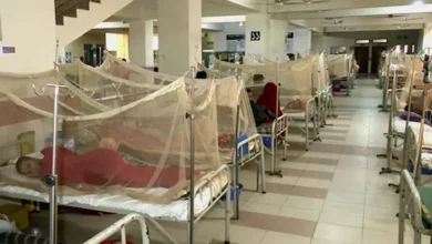 ডেঙ্গু কেড়ে নিল আরও ৩ প্রাণ, একদিনে হাসপাতালে ভর্তি ৯২৮ জন