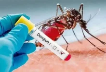 ডেঙ্গুতে ৩ জনের মৃত্যু, শনাক্ত ছাড়ালো ৫০ হাজার