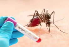 ডেঙ্গুতে দুজনের মৃত্যু, হাসপাতালে ভর্তি ৭৬২