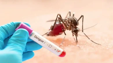 ডেঙ্গুতে দুজনের মৃত্যু, হাসপাতালে ভর্তি ৭৬২