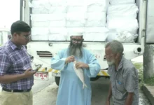 এবার পূজায় অনুমতির ১২০০ টনের বিপরীতে ভারতে গেল ১০৭ টন ইলিশ