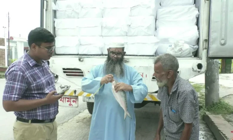 এবার পূজায় অনুমতির ১২০০ টনের বিপরীতে ভারতে গেল ১০৭ টন ইলিশ