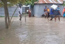 কুড়িগ্রামে পানিতে তলিয়ে গেছে ১২২৭ হেক্টর ফসলি জমি