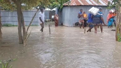 কুড়িগ্রামে পানিতে তলিয়ে গেছে ১২২৭ হেক্টর ফসলি জমি