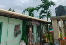 বাসর ঘরে ডাকাতের হানা, স্বর্ণালংকার লুট