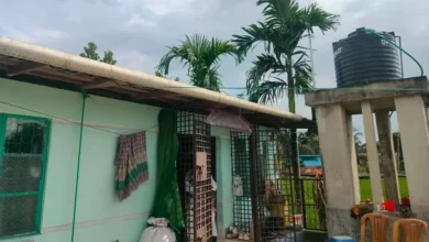 বাসর ঘরে ডাকাতের হানা, স্বর্ণালংকার লুট
