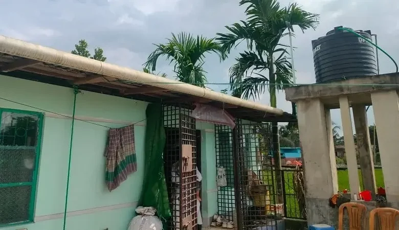 বাসর ঘরে ডাকাতের হানা, স্বর্ণালংকার লুট