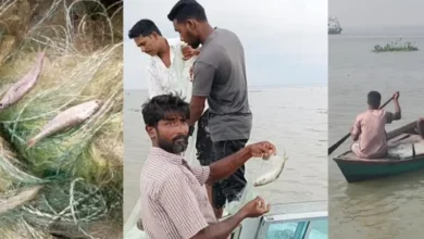 মেঘনায় নিষেধাজ্ঞা অমান্য করে চলছে ইলিশ শিকার