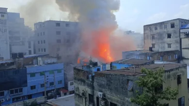 মিরপুরে পোশাক কারখানা ও কেমিক্যাল গোডাউনে আগুন