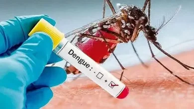 ডেঙ্গুতে আক্রান্তের সংখ্যা ৬০ হাজার ছুঁই ছুঁই, বিশেষজ্ঞরা সতর্ক
