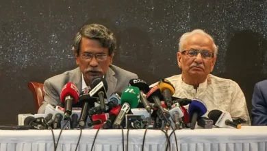 জুলাই সনদ অনুযায়ীই সংবিধান সংস্কার করতে হবে: আলী রীয়াজ