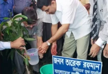 ‘জাতীয় সবুজ মিশন’ চালুর ঘোষণা তারেক রহমানের