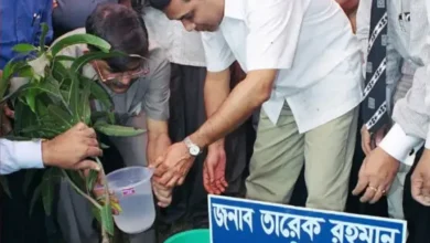 ‘জাতীয় সবুজ মিশন’ চালুর ঘোষণা তারেক রহমানের