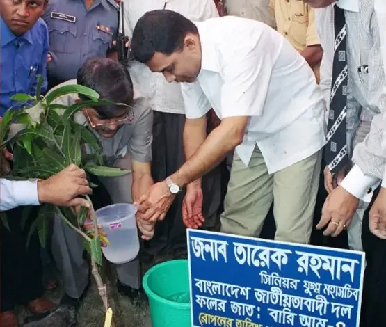 ‘জাতীয় সবুজ মিশন’ চালুর ঘোষণা তারেক রহমানের