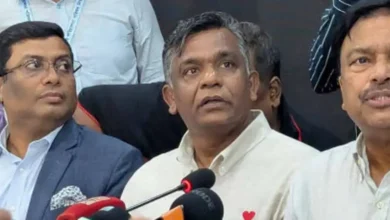 দেশকে সেবা দেয়ার লোভে আমি থেকে গিয়েছি: বুলবুল