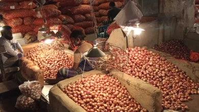 পেঁয়াজের বাজারে অস্থিরতা, হঠাৎ কেন দাম বাড়ছে?