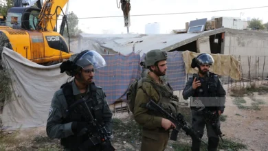 পশ্চিম তীরে কৃষিখামারে হামলা, ৭ হাজার মুরগী হত্যা করলো ইসরাইলি বাহিনী