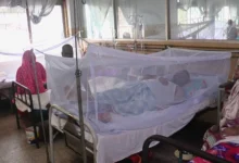 ডেঙ্গু কেড়ে নিল আরও ৫ প্রাণ, হাসপাতালে ভর্তি ১,০৩৪ জন