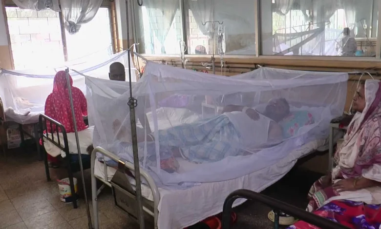 ডেঙ্গু কেড়ে নিল আরও ৫ প্রাণ, হাসপাতালে ভর্তি ১,০৩৪ জন