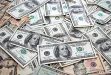 নভেম্বরের ২৩ দিনে এলো ২২৭ কোটি ডলার রেমিট্যান্স