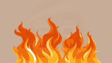 রাজধানীতে আবারও বাসে আগুন