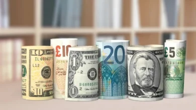 নভেম্বরের ১০ দিনে প্রবাসী আয়ে এলো ১ বিলিয়ন ডলার