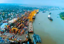 পাখি খাদ্যের আড়ালে এলো ২৫ টন পপির বীজ