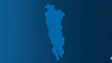 সাতক্ষীরায় জামায়াত প্রার্থীর শোডাউনের বাইকের ধাক্কায় বৃদ্ধের মৃত্যু, এলাকায় উত্তেজনা