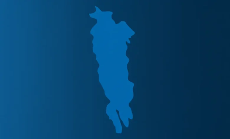 সাতক্ষীরায় জামায়াত প্রার্থীর শোডাউনের বাইকের ধাক্কায় বৃদ্ধের মৃত্যু, এলাকায় উত্তেজনা