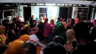 মেহেরপুরে পদ্ম ফুল তুলতে গিয়ে একই পরিবারের ৪ জনের মৃত্যু