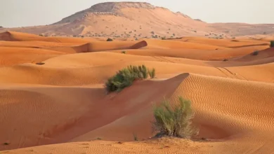 সৌদি আরবে ৩.৪ মাত্রার মৃদু ভূমিকম্প