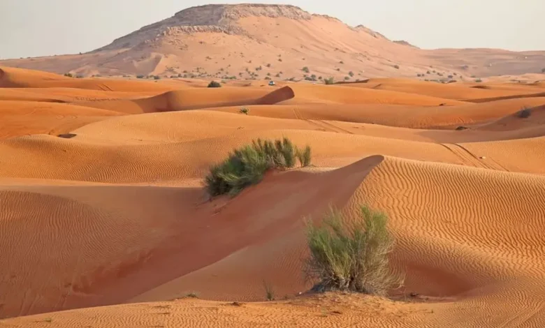 সৌদি আরবে ৩.৪ মাত্রার মৃদু ভূমিকম্প