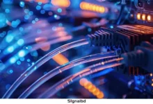 ফ্রিডম হাউসের রিপোর্ট, ইন্টারনেট স্বাধীনতায় নজিরবিহীন অগ্রগতি