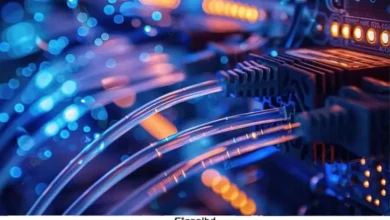 ফ্রিডম হাউসের রিপোর্ট, ইন্টারনেট স্বাধীনতায় নজিরবিহীন অগ্রগতি