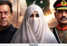 ডেথ সেলে ইমরান খান, পরিবারের কাছে নেই বেঁচে থাকার কোনো প্রমাণ