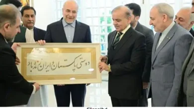 পাকিস্তান ও ইরানের কূটনৈতিক সংহতি: মুসলিম বিশ্বকে ঐক্যবদ্ধ করার উদ্যোগ