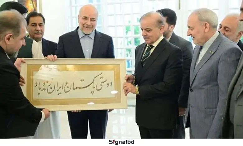 পাকিস্তান ও ইরানের কূটনৈতিক সংহতি: মুসলিম বিশ্বকে ঐক্যবদ্ধ করার উদ্যোগ