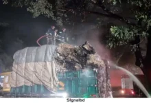 গজারিয়ায় ট্রাকে আগুন, ব্যাপক ক্ষতি, মালামাল উদ্ধার