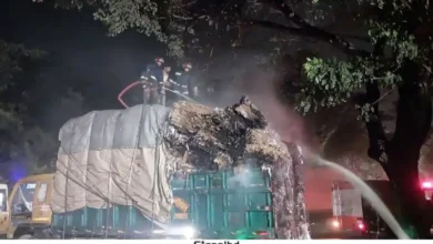 গজারিয়ায় ট্রাকে আগুন, ব্যাপক ক্ষতি, মালামাল উদ্ধার