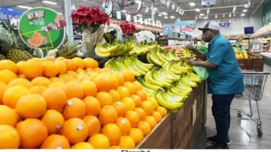 ২ শতাধিক খাদ্যপণ্যের ওপর থেকে শুল্ক প্রত্যাহার করলেন ট্রাম্প