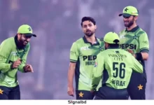 ১৭ বছর পর ফয়সালাবাদে শাহিনদের ঐতিহাসিক জয়, নতুন রেকর্ড