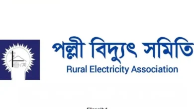 পল্লী বিদ্যুৎ নিয়োগ ২০২৫: বেতন, যোগ্যতা, আবেদন প্রক্রিয়া