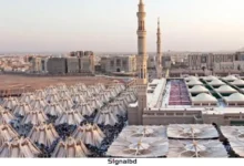 মসজিদে নববির স্বয়ংক্রিয় ছাতাগুলো: সৌন্দর্য ও প্রযুক্তির অনন্য সমন্বয়