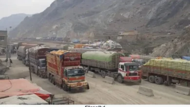 পাকিস্তান বাধা সত্ত্বেও আফগানিস্তানের রপ্তানি বৃদ্ধি $৪৫ মিলিয়ন