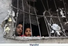 গাজ্জায় দুই বছরে গাজ্জায় ৩৩ হাজার নারী-শিশু হত্যা করেছে ইসরাইল