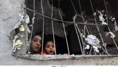 গাজ্জায় দুই বছরে গাজ্জায় ৩৩ হাজার নারী-শিশু হত্যা করেছে ইসরাইল