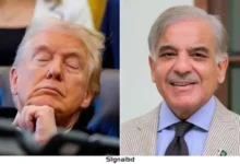 ট্রাম্পের সাহসী নেতৃত্বে লাখ লাখ মানুষ প্রাণে বেঁচেছে: শাহবাজ শরিফ