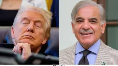 ট্রাম্পের সাহসী নেতৃত্বে লাখ লাখ মানুষ প্রাণে বেঁচেছে: শাহবাজ শরিফ