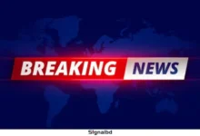 তত্ত্বাবধায়ক সরকারব্যবস্থা ফেরাতে আপিলের রায় ২০ নভেম্বর