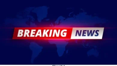 তত্ত্বাবধায়ক সরকারব্যবস্থা ফেরাতে আপিলের রায় ২০ নভেম্বর